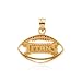 Tennessee Titans Football Pendant, 14 Karat Gold