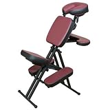 Portal Light Massage Chair Color: Ruby