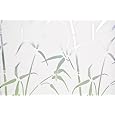 Brewster 99433 Bamboo Window Privacy Film