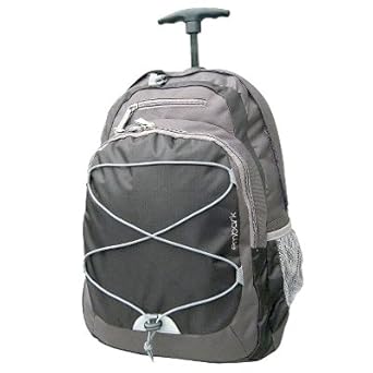 embark clear backpack