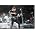 Vignette de Muse