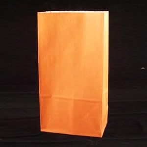 Bulk Solid Color Paper Sack Lunch Bags Orange 5.3125" Wide x 10" High x 3.25" Deep Case of 240 Lunch Sacks
