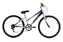 Triumph (By Raleigh) Figaro - Girls 14" MTB - White/Purple