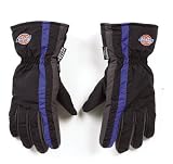 FORTRESS PRODUCTS INC D06BBLU-M DICKIES WINTER GLOVE