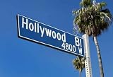 Hollywood Blvd Street Sign with Palms - 24
