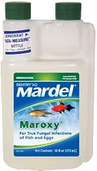 Mardel Maroxy Water Treament (Freshwater/Saltwater), 16-Ounce