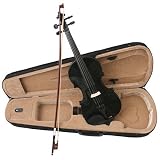 Black 4/4 Violin with Bow, Free Case, and Accessories