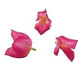 ���i�̏ڍ�