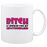 New Bnewfoundlandtch Is Looked For My Newfoundland Mug Dog