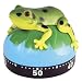 Green Frog (Toad) on Lily Pad Kitchen Baking or Time - Out Timer