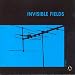 Invisible Fields