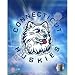 Connecticut Huskies UConn Logo 8x10 Photo