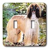 Dogs Afghan - Afghan Hound - Light Switch Covers - double toggle switch