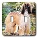 Dogs Afghan - Afghan Hound - Light Switch Covers - double toggle switch