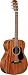 Alvarez RF20SM Acoustic Guitar, Satin