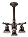 Danze D461503RB 6-Inch Ceiling Mount Showerhead with 3 Adjustable Heads, Oil Rubbed Bronze