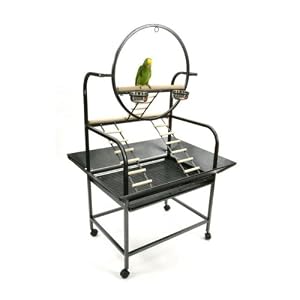 Pollys Pleasures Big O Parrot Stand