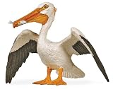 Safari: White Pelican