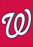 Washington Nationals Window Flag