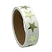 Hybsk 1 inch Gold Star Stickers Metallic Foil School Kids Reward Total 500 Labels Per Roll (Gold)