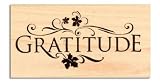 Inkadinkado Wood-Mounted Rubber Stamp Gratitude By The Each