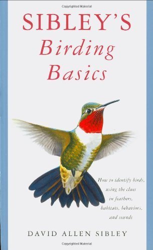 Sibley's Birding Basics by David Allen Sibley (2002-10-01)