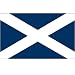 Scotland - St Andrews Cross - 3ft x 5ft Polyester Scottish Flag