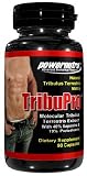 TribuPro - 90 Capsules 450 mg Molecular Tribulus Terrestris Testosterone Booster