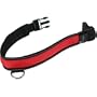 Lighted Collar, LG, (22"-26")