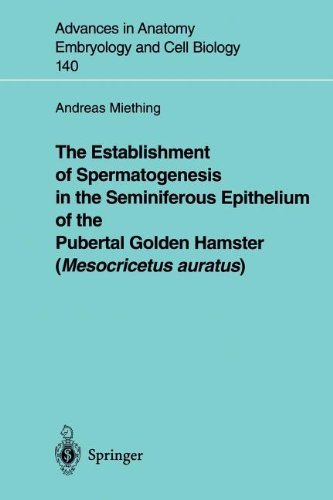 The Establishment of Spermatogenesis in the Seminiferous Epithelium of the Pubertal Golden Hamster (Mesocricetus auratus) (Advances in Anatomy, Embryology and Cell Biology)