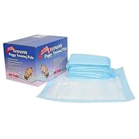 Economy Housebreaking Pads - 100 count