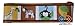 GEENNY Wall Border, Amazon Jungle Animals
