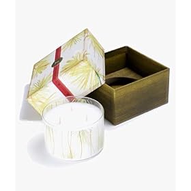Fraiser Fir Multi Wick Candle by Steelz