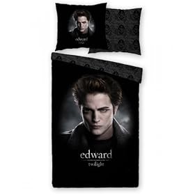 41NyJfAqTWL. SL500 AA280  Bedding & Bags