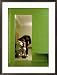 Coach Counseling Football Player Framed Photographic Poster Print, 21x29