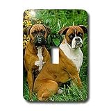 Dogs Boxer - Boxer - Light Switch Covers - single toggle switch