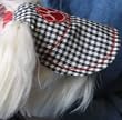 Dog Sun Visor in Black for Dogs 10 Lbs and under