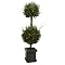 Cedar Twig Potted Topiary - Dark Green