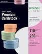 Wausau Exact Index Cardstock, 110 lb, 8.5 x 11 Inch, Pastel Gray, 250 Sheets (48598)