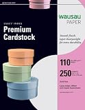 Wausau Exact Index Cardstock, 110 lb, 8.5 x 11 Inch, Pastel Gray, 250 Sheets (48598)