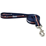 New England Patriots 6' Pet Dog Leash (Medium)