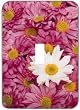 Light Switchplate Cover - Single Toggle - Metal-Designer Switch Plate: Flowers/Flowers/Floral - (SCSFL-115)