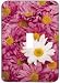 Light Switchplate Cover - Single Toggle - Metal-Designer Switch Plate: Flowers/Flowers/Floral - (SCSFL-115)