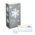 Silver Snowflake LumaLantern Kit Set of 8 - Silver