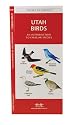 Utah Birds