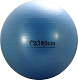 Fitness-Mad Swiss Ball with Pump & DVD 65cm Blue