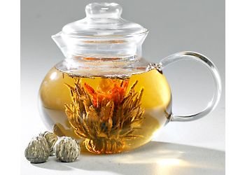 Primula Products Flowering Tea Set