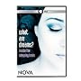 NOVA: What Are Dreams?
