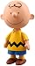 VINYL COLLECTIBLE DOLLS CHARLIE BROWN