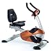Omega CO-BR130C Recumbent Exercise Bike - Copper